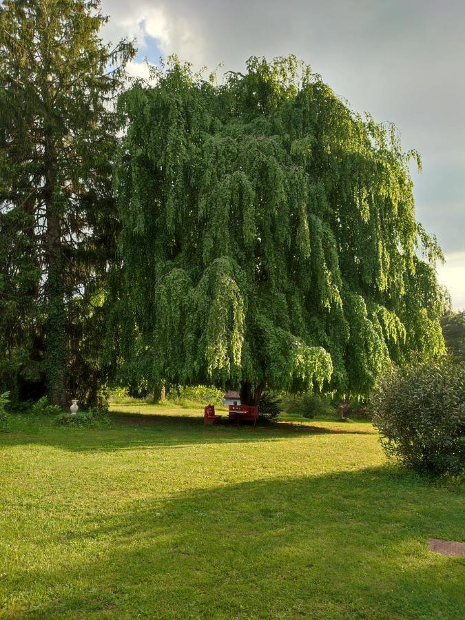Il Vecchio Faggio Hotel Rodero ภายนอก รูปภาพ